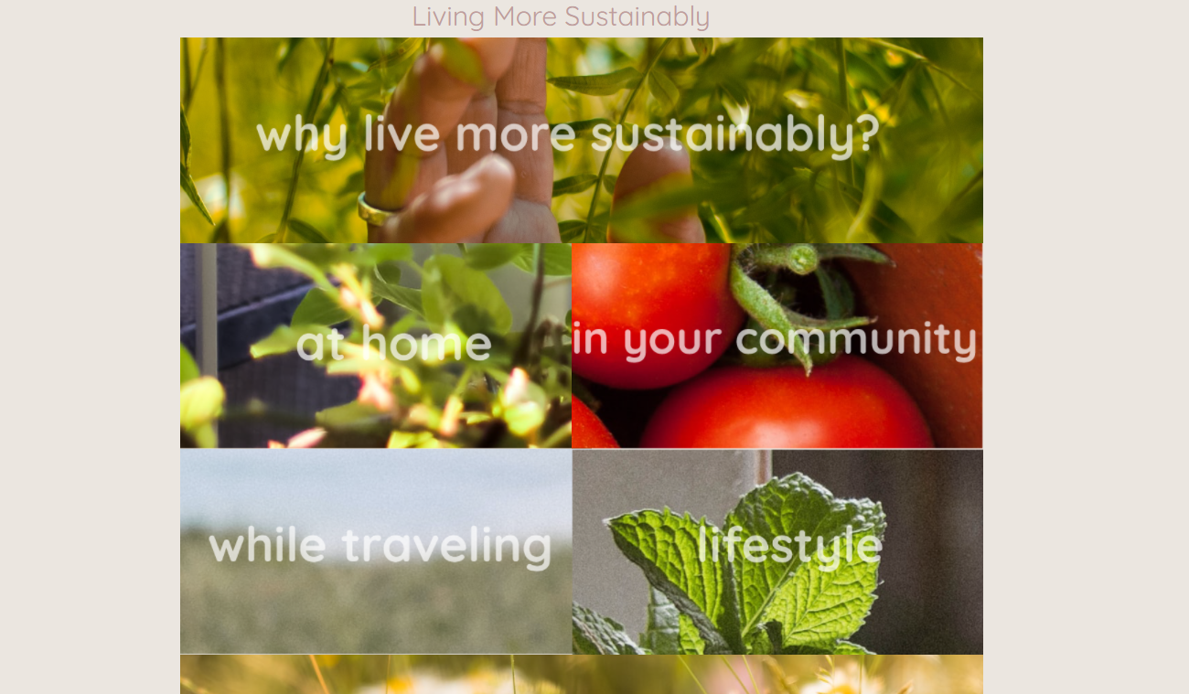 An image previewing the 'Living More Sustainably' website. The preview shows the home page's navigation. This navigation was made more interactive than previous examples by having each navigation item be a title image that the user must click on to get to the website's content. The title images consist of plants, crops, and landscapes with the titles 'why live more sustainably?', 'at home', 'in your community', 'while traveling', and 'lifestyle'.